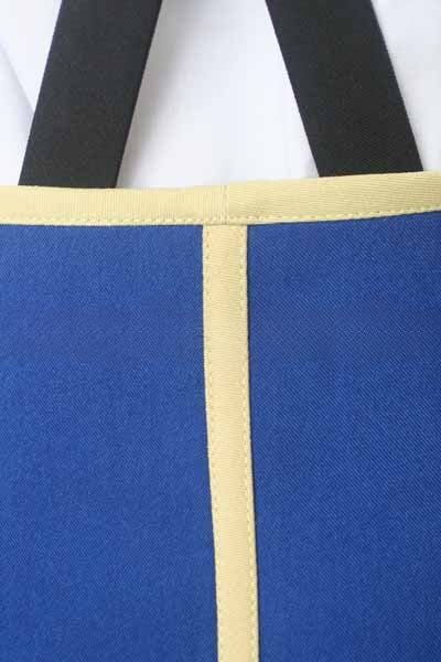 Aria Link Cosplay Costume