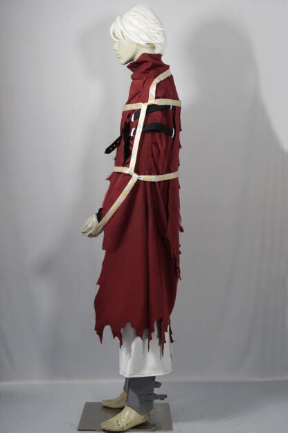 Licht Bach Cosplay Costume